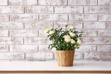 Beautiful white roses in pot on shelf near brick wall
