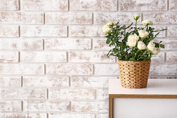 Beautiful white roses in pot on shelf near brick wall