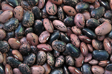 Texture of dry beans seeds. Pinto beans.