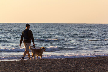 A man and a dog walking along the beach at sunset