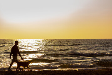 A man and a dog walking along the beach at sunset being silhouetted by the sunset.