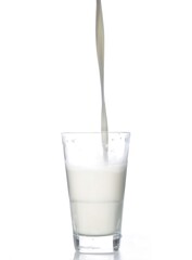 pouring milk in a thin stream into a glass close-up on a white background
