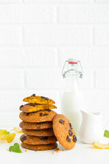 Pumpkin cookies with chocolate. Selective focus.
