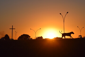 pôr-do-sol em Brasília
