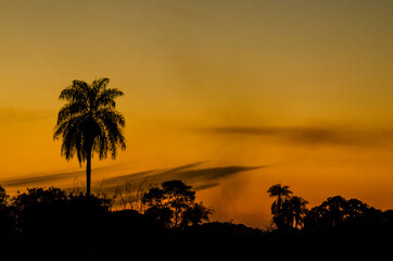 Sunset at Brazil Pantanal