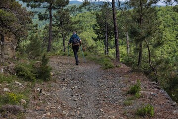 man trekking in a Ligurian wood, with trekking sportswear