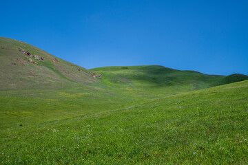Fototapeta premium Spring landscape, beautiful green fields with flowers hills and mountains in the clear sunny day.