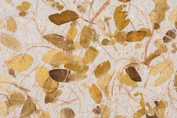 Mulberry paper yellow and brown dry leaf texture background