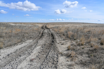Country road in the steppes, bushes, grass and cloudy sky. Spring.