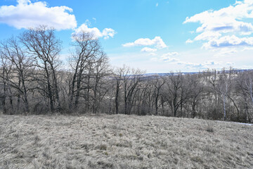 The mountains, steppes, snow, bushes, grass and cloudy sky. Volga River. Spring landscape.