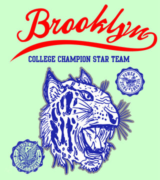 Brooklyn college athletic graphic design vector art