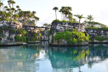 Fototapeta na wymiar beautiful blue lagoon in a tropical park. tropical forest by the blue sea.