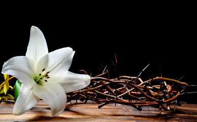 A crown of thorns and a Easter Lilly on a black background with copy space - obrazy, fototapety, plakaty