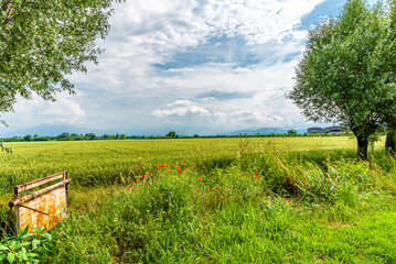 Fototapete bei efototapeten.de bestellen   