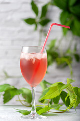 Homemade compote. Refreshing chilled summer fruit drink