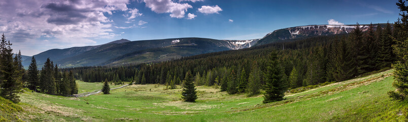 Fototapeta Karkonosze - polana Kotki panorama na Śnieżkę obraz