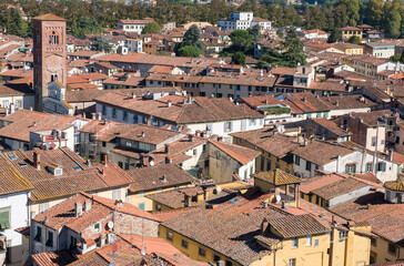 Fototapeta na wymiar Cityscape with rooftops of Lucca town from Torre Ginigi tower. Tuscany central Italy