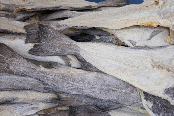 Salt cod or codfish or stockfish closeup macro detail