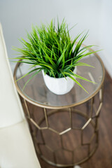 side table plant on geometric end table