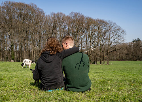 Liebe in der Landwirtschaft, junges Paar sitzt Arm in Arm auf einer Kuhwiese, Symbolfoto