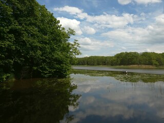Scenic view on Tarpno Lake, Grudziądz, Poland