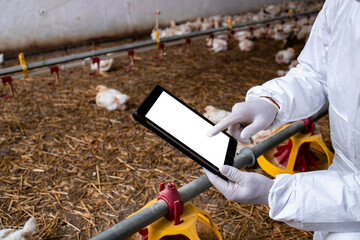 Farmer in sterile clothing holding tablet computer at poultry farm and checking production and food supply.