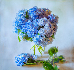 Bouquet of Blue Hydrangea Flowers in Clear Glass Vase