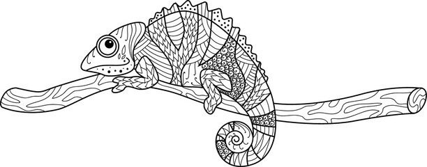 Chamaleon sitting on the branch and monstera tropic leaves for coloring book isolated icon. Vector illustration.