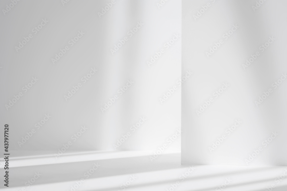 Aufkleber Abstract white studio background for product presentation. Empty gray room with shadows of window. Display product with blurred backdrop.