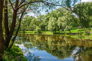 A lake with jugs and a reflection of the sky in the water. Spring tree foliage and green grass.