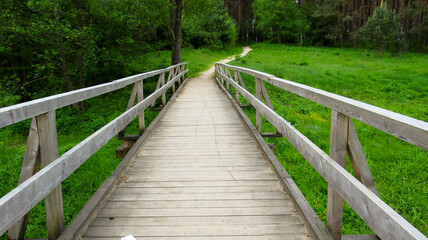 Wooden bridge in the forest.	
