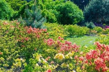 Beautiful green colorful botanic garden with decorative flower bed, trees, bushes. Scenic summer gardening nature background. Landscape design concept