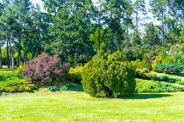 Obraz premium Beautiful green botanical landscape design in garden, park with bushes and flowers, fregh grass lawn. Scenic summer gardening nature background, concept