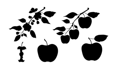 A set of apples. Black silhouette of apples, a blossoming branch of an apple tree and a branch with apples. Stock vector illustration isolated on a white background.