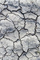 view of deep cracks in the ground due to hot dry summers. Ecological problems. Climate warming