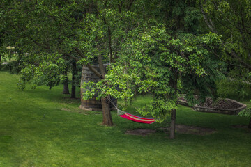 hammock in the park