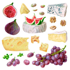 Set. Various cheeses,pistachios, walnuts, grapes, figs. The image is hand-drawn and isolated on a white background. Watercolour painting.