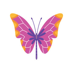Exotic color butterfly. Hand drawn moth wings or insect. Cartoon tropical animal. Isolated vector icon