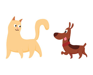 Cats and dog characters best happy friends. Together playing isolated on white background. Funny flat cartoon colorful friendship pets. Vector illustration