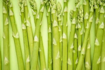 Fresh green asparagus on a green background, close-up.