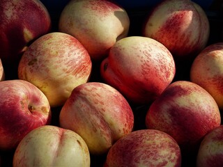Rot-Gelbe Nektarinen auf einem Haufen
