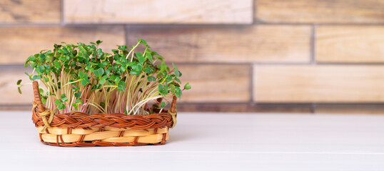 Micro greens grown to the basket on the kitchen table with space for text