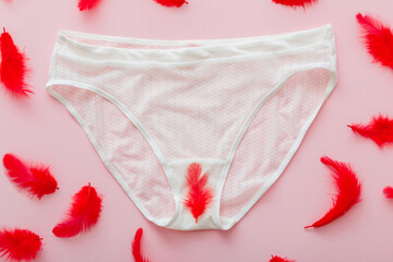 Fototapeta na wymiar White female panties underwear with red feather as Metaphor Menstrual cycle and woman health. Beautiful white lingerie.
