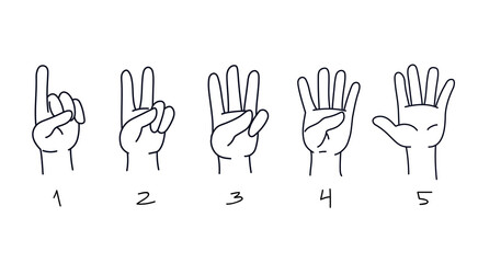 Counting from one to five on the fingers. Hand gestures for preschool learning to count. Numbers on the fingers. Line drawing. Vector flat isolated art fun. counting fingers - obrazy, fototapety, plakaty