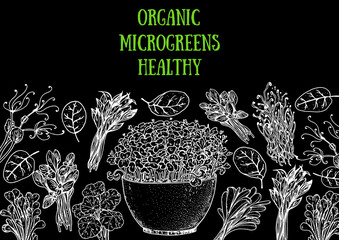 Microgreens hand drawn vector illustration. Organic healthy food. Microgreens sprouts. Various micro greens. Hand drawn design. Healthy lifestyle. Design for packaging and more. Sketch style.