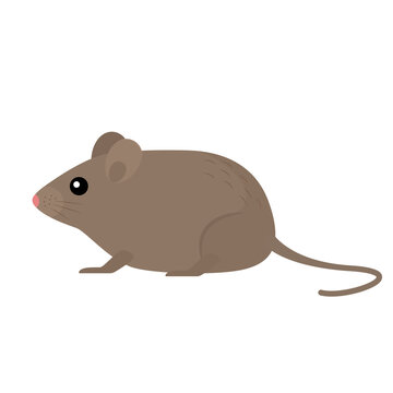 icon of a cute mouse with a tail. vector illustration isolated