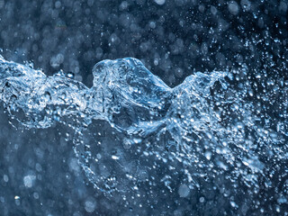 rain drops - in the macro detail