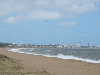Uruguayan beaches coasts of the "Punta del Este" city