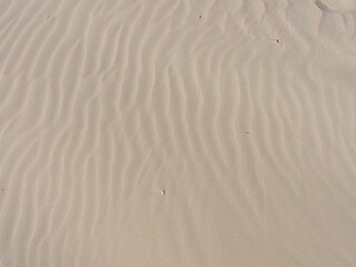 Close up Sunny Beach sands desert texture