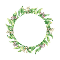 Round frame with watercolor lemon and orange flowers and leaves. Hand drawn illustration is isolated on white. Floral wreath is perfect for natural design, label, icon, logo, wedding invitation